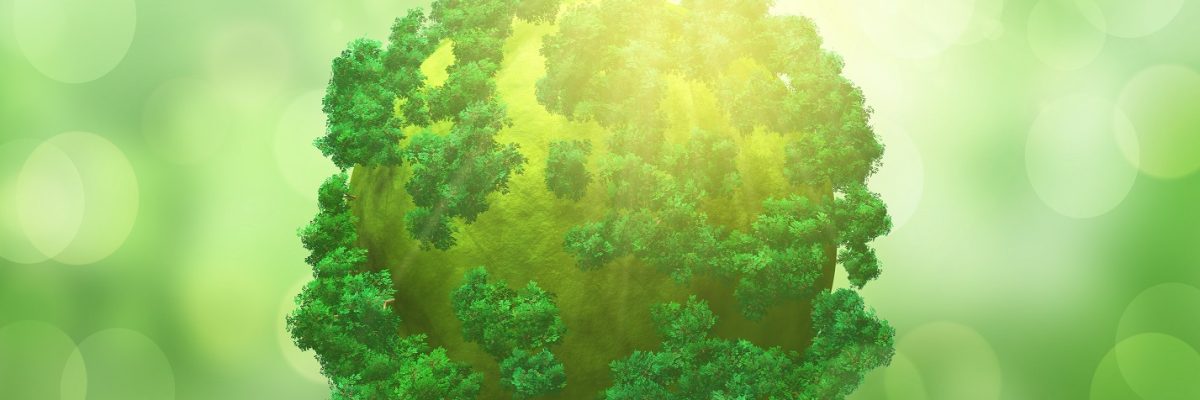 ISO 14001